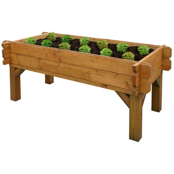 grow your own planter